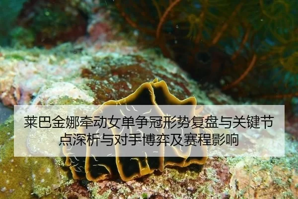 lai-ba-jin-na-qian-dong-nv-dan-zheng-guan-xing-shi-fu-pan-yu-guan-jian-jie-dian-shen-xi-yu-dui-shou-bo-yi-ji-sai-cheng-2-518.jpg